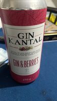 GIN & BERRIES