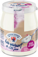 Vipiteno organic yoghurt from haymilk TSG  in a jar lactose free - 150g - Natural
